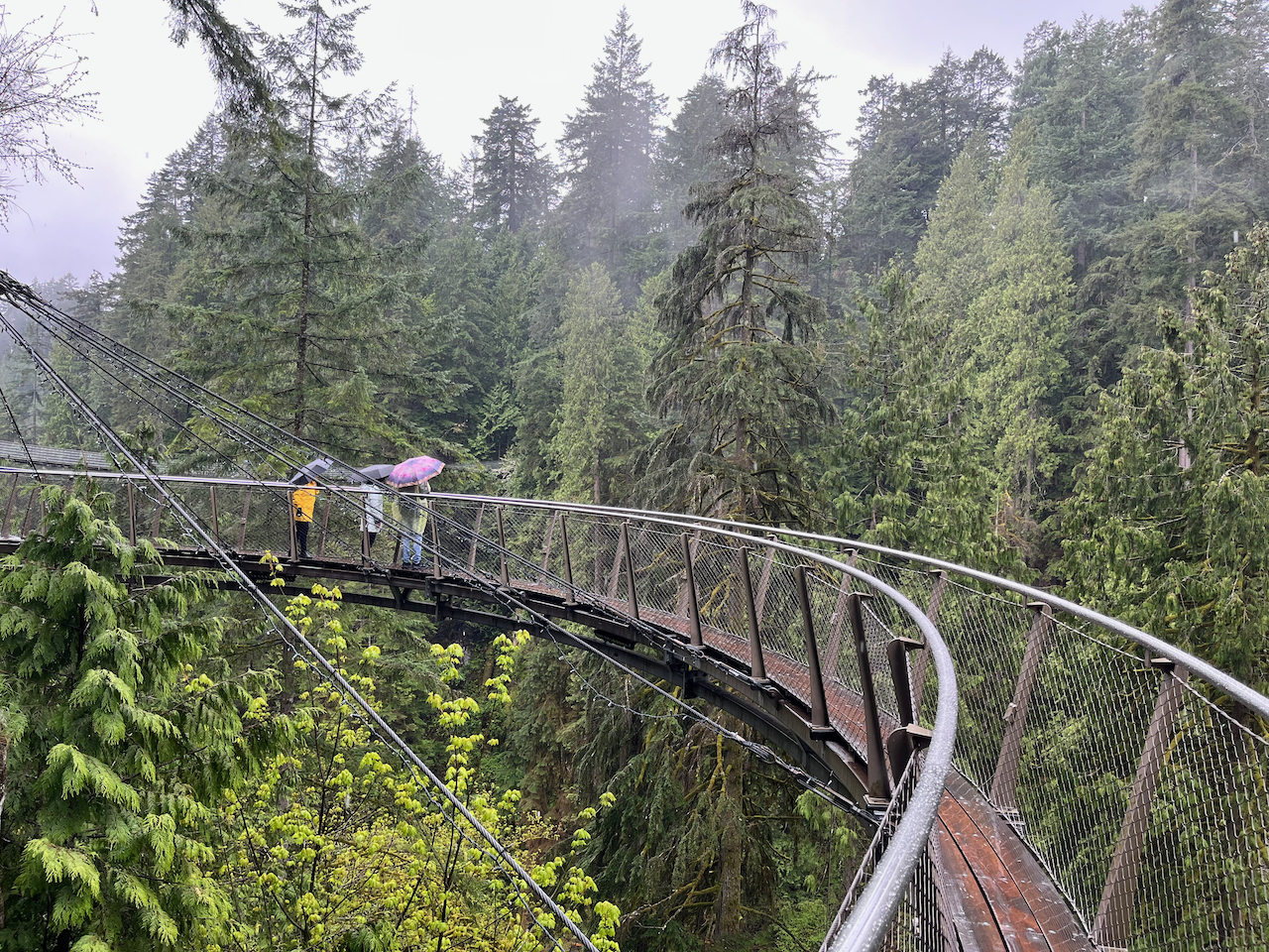 10 tips for Vancouver cruisers visiting Capilano Suspension Bridge Park